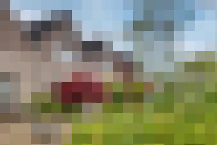 Twentehof 14 Helmond thumbnail 29