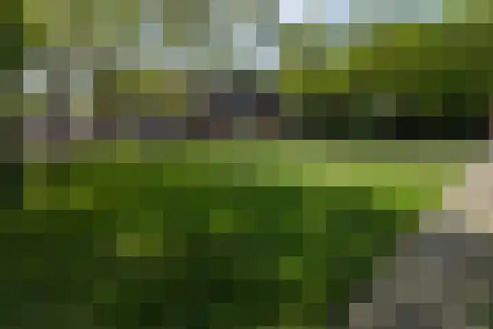 Twentehof 14 Helmond thumbnail 30