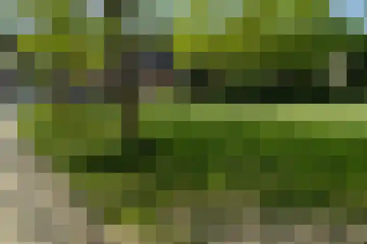 Twentehof 14 Helmond thumbnail 31