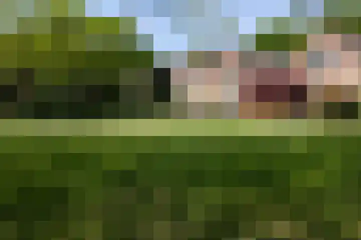 Twentehof 14 Helmond thumbnail 5