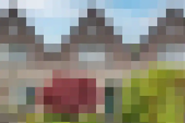 Twentehof 14 Helmond thumbnail 6