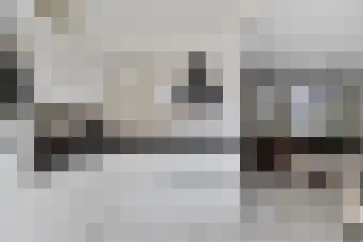 Twentehof 142 Helmond thumbnail 12