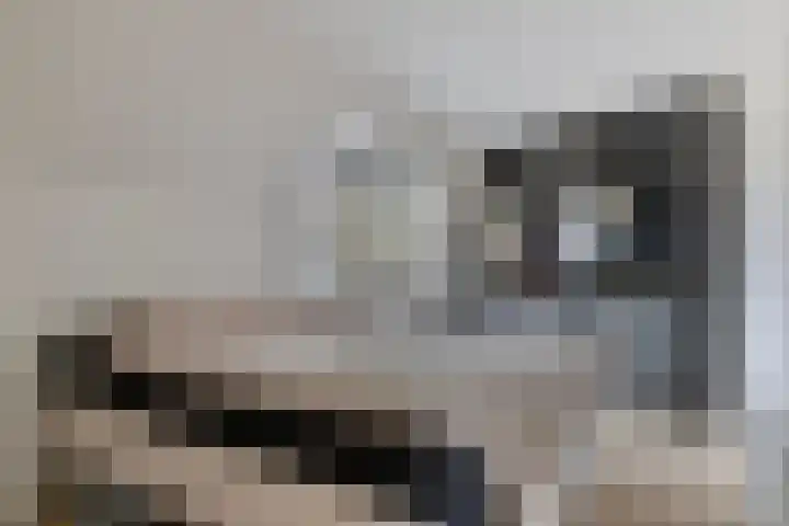 Twentehof 142 Helmond thumbnail 19