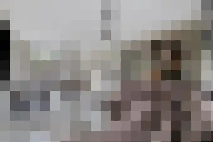 Twentehof 142 Helmond thumbnail 5