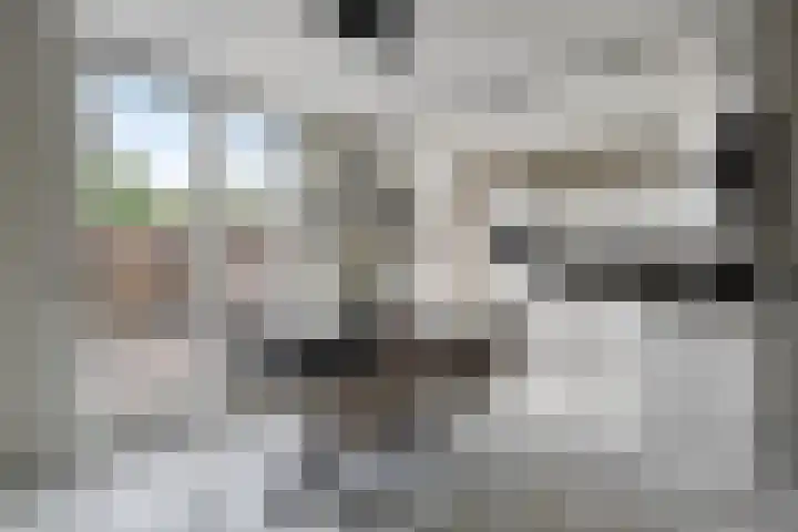 Twentehof 142 Helmond thumbnail 6
