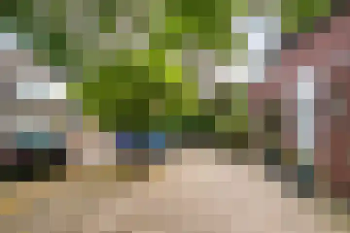 Twentehof 142 Helmond thumbnail 8