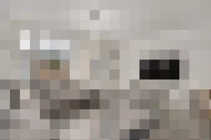 Twentehof 17 Helmond thumbnail 11