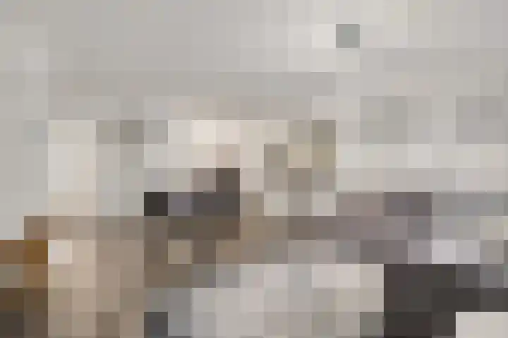 Twentehof 17 Helmond thumbnail 12
