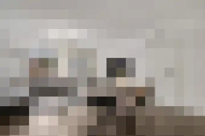 Twentehof 17 Helmond thumbnail 13