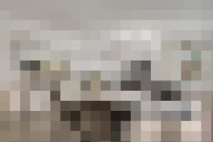 Twentehof 17 Helmond thumbnail 14