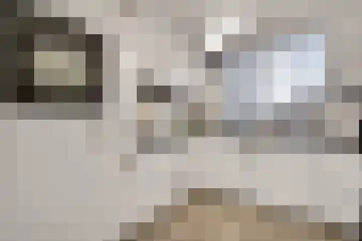 Twentehof 17 Helmond thumbnail 16