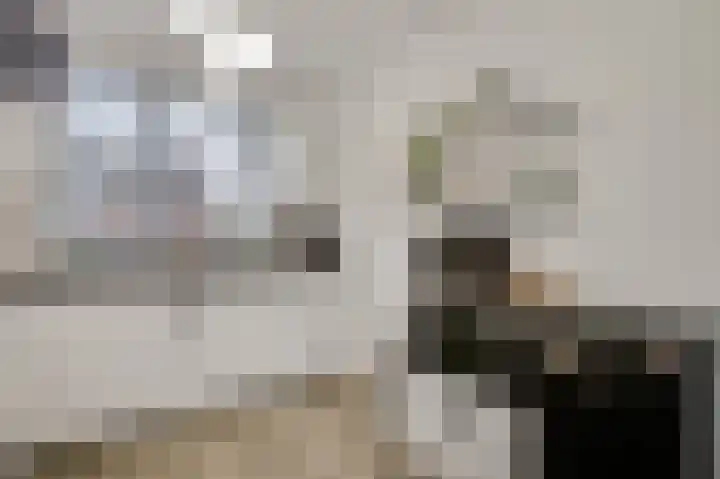 Twentehof 17 Helmond thumbnail 17