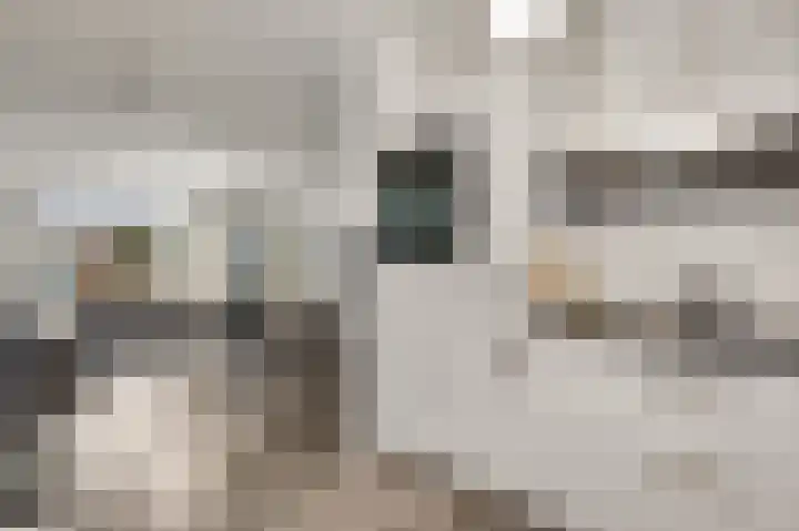 Twentehof 17 Helmond thumbnail 18