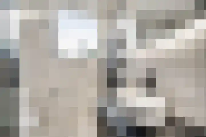 Twentehof 17 Helmond thumbnail 26