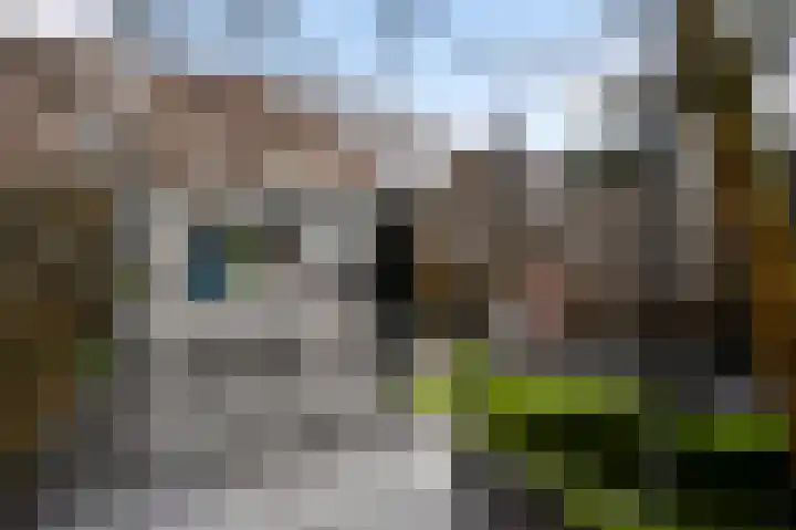 Twentehof 17 Helmond thumbnail 33