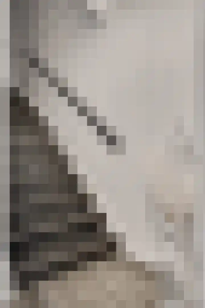 Twentehof 17 Helmond thumbnail 8
