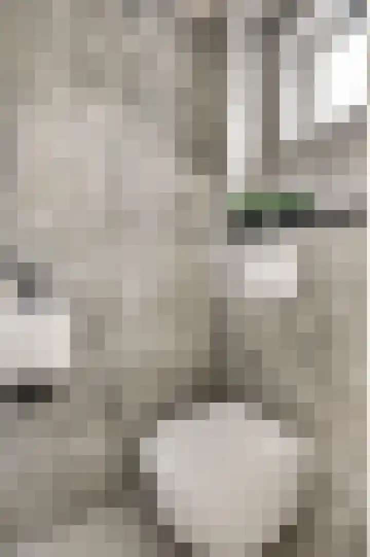 Twentehof 17 Helmond thumbnail 9