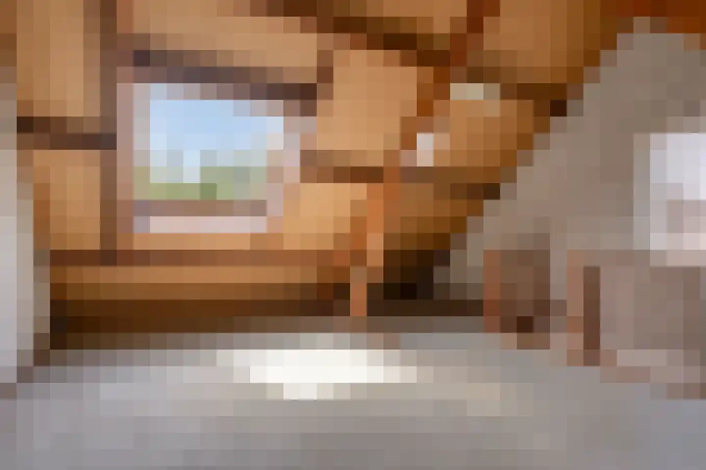 Twentehof 21 Helmond thumbnail 23