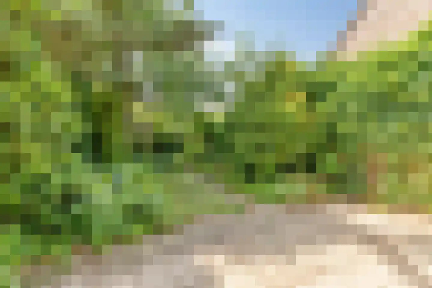 Twentehof 21 Helmond thumbnail 26