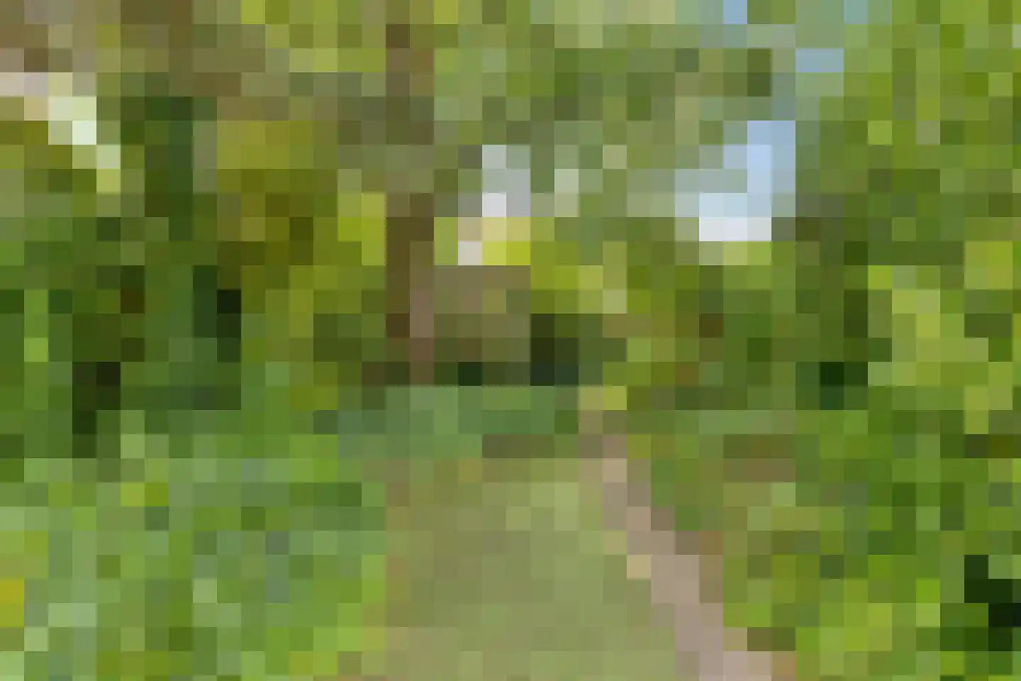 Twentehof 21 Helmond thumbnail 28