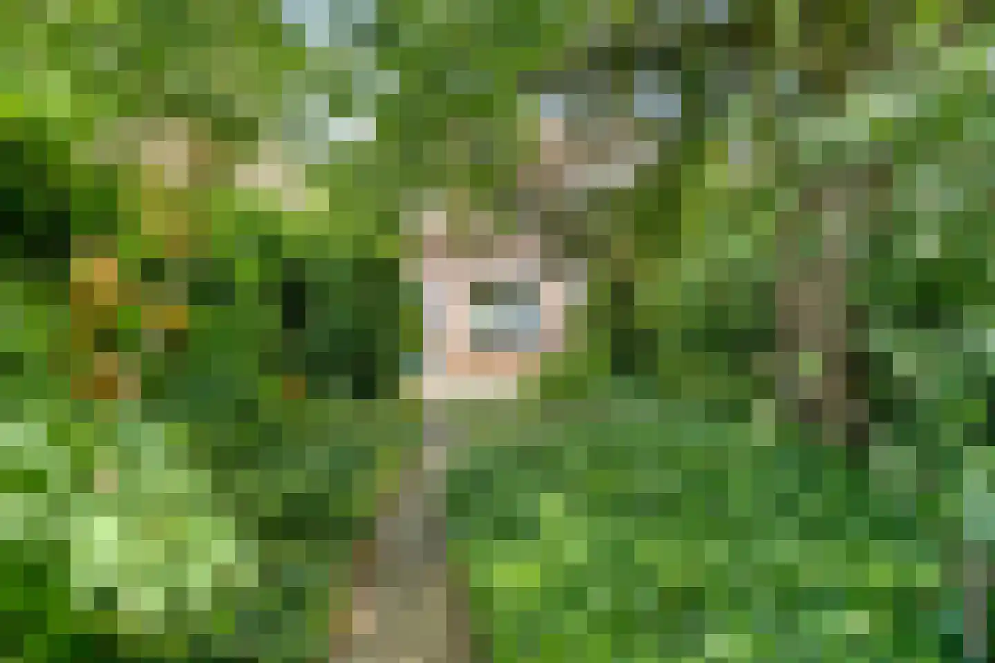 Twentehof 21 Helmond thumbnail 29