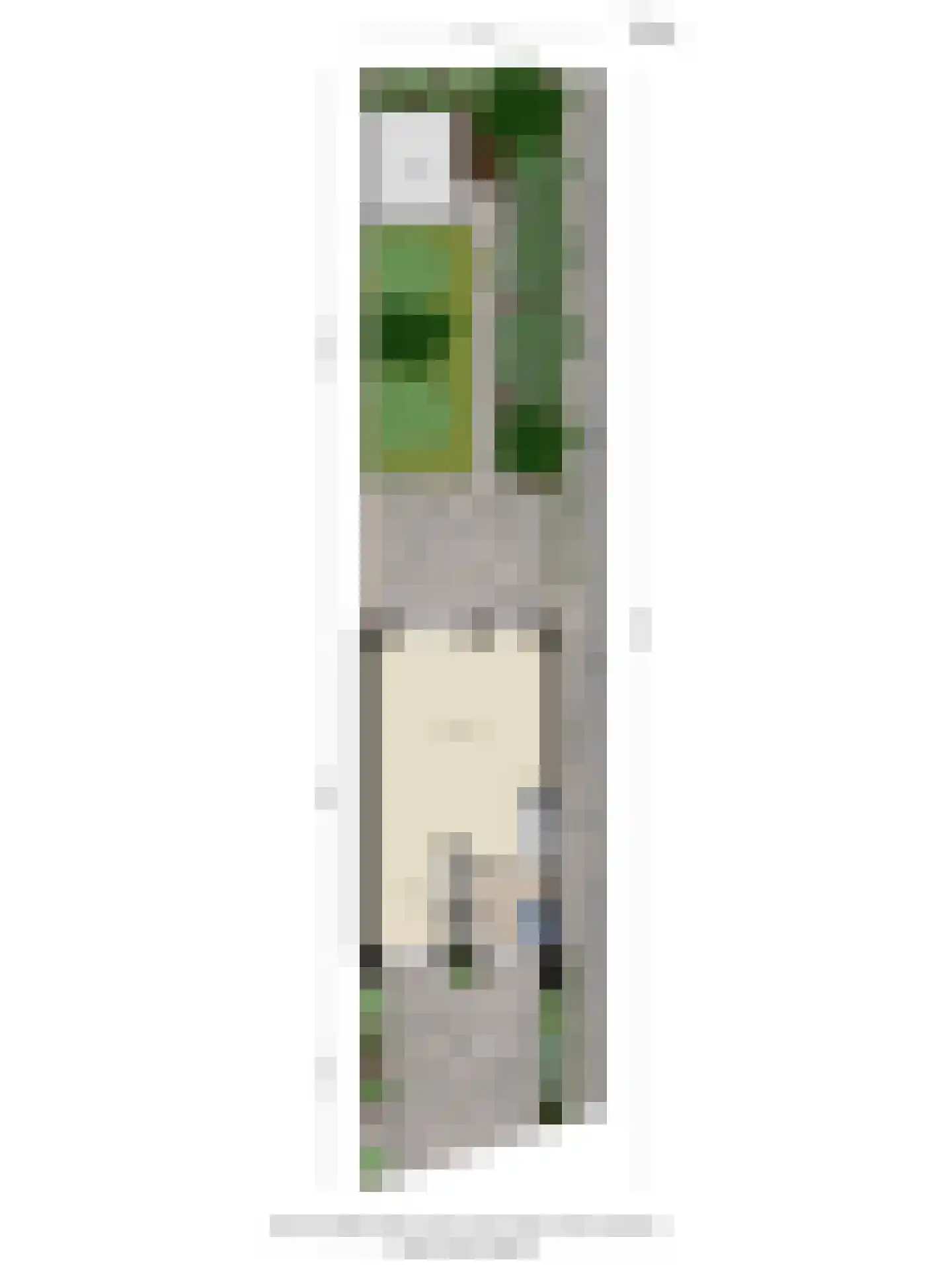 Twentehof 21 Helmond thumbnail 36