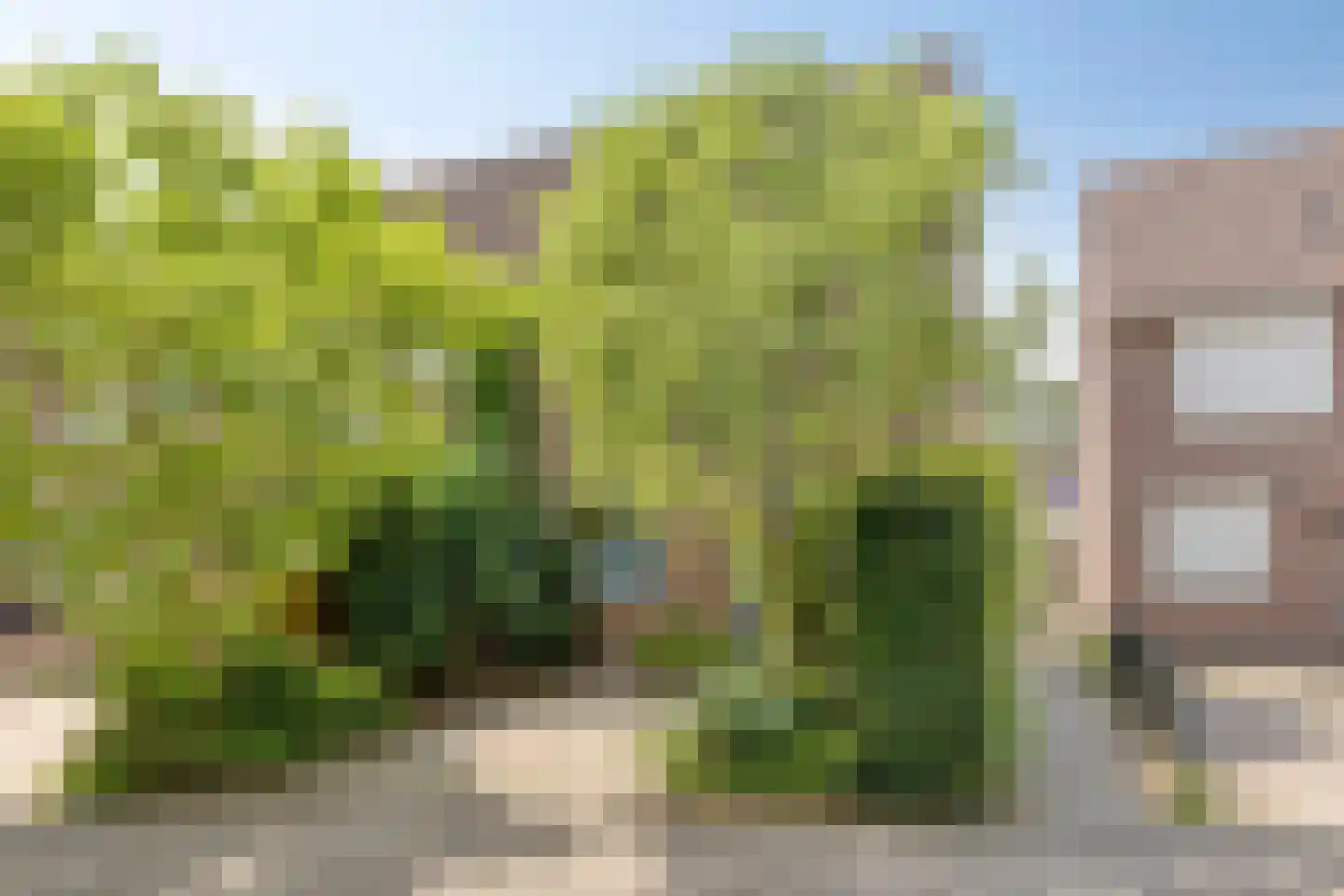 Twentehof 21 Helmond thumbnail 6
