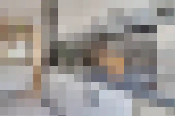 Twentehof 33 Helmond thumbnail 12