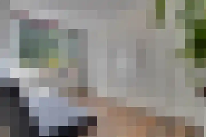 Twentehof 33 Helmond thumbnail 15