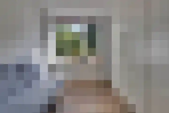 Twentehof 33 Helmond thumbnail 16