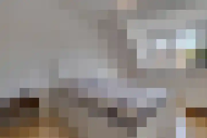 Twentehof 33 Helmond thumbnail 17