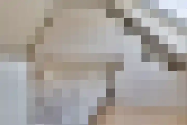 Twentehof 33 Helmond thumbnail 23