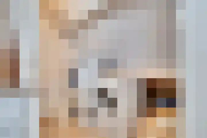 Twentehof 33 Helmond thumbnail 25