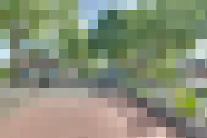Twentehof 33 Helmond thumbnail 31