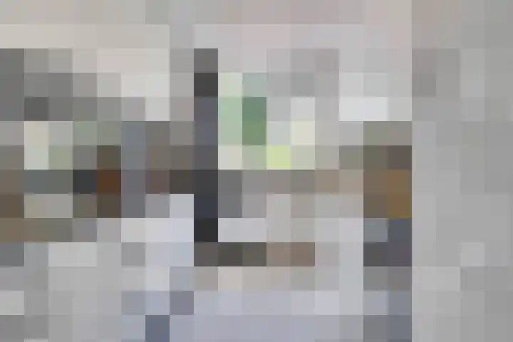 Twentehof 33 Helmond thumbnail 4