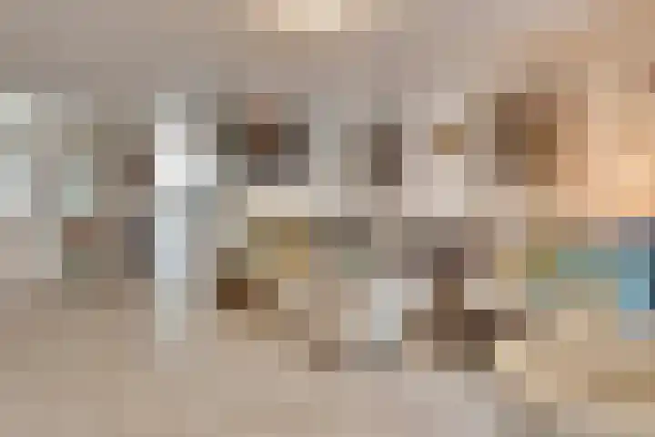 Twentehof 33 Helmond thumbnail 7