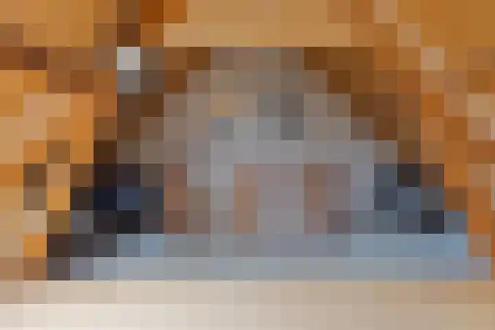 Twentehof 45 Helmond thumbnail 16