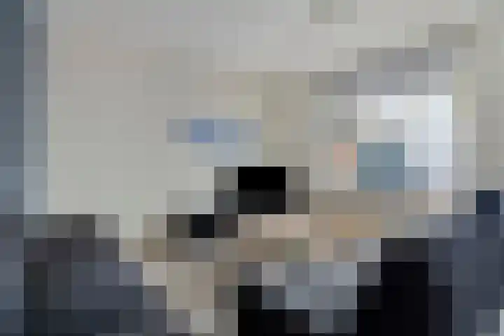 Twentehof 45 Helmond thumbnail 4