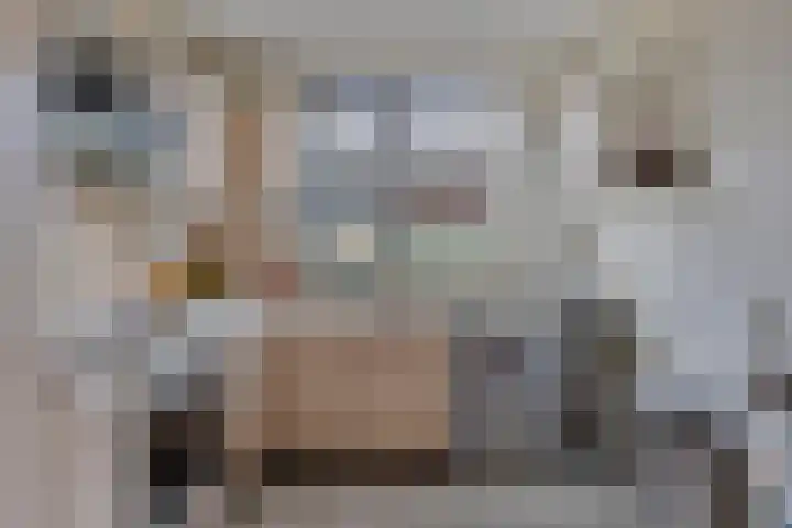 Twentehof 45 Helmond thumbnail 5