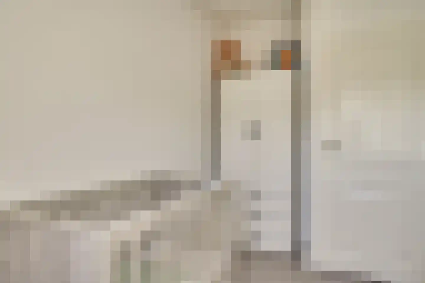 Twentehof 57 Helmond thumbnail 26