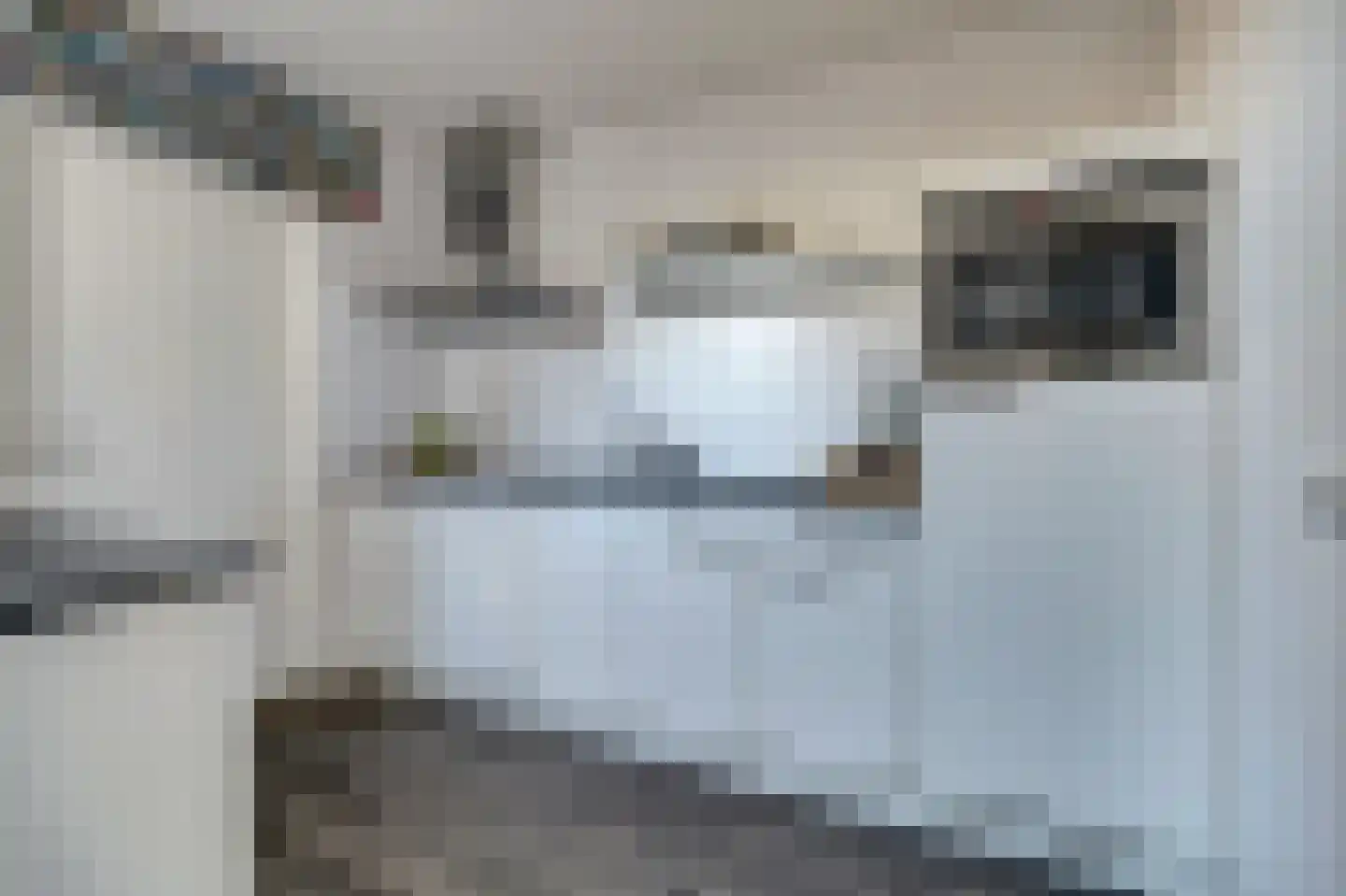 Twentehof 6 Helmond thumbnail 10