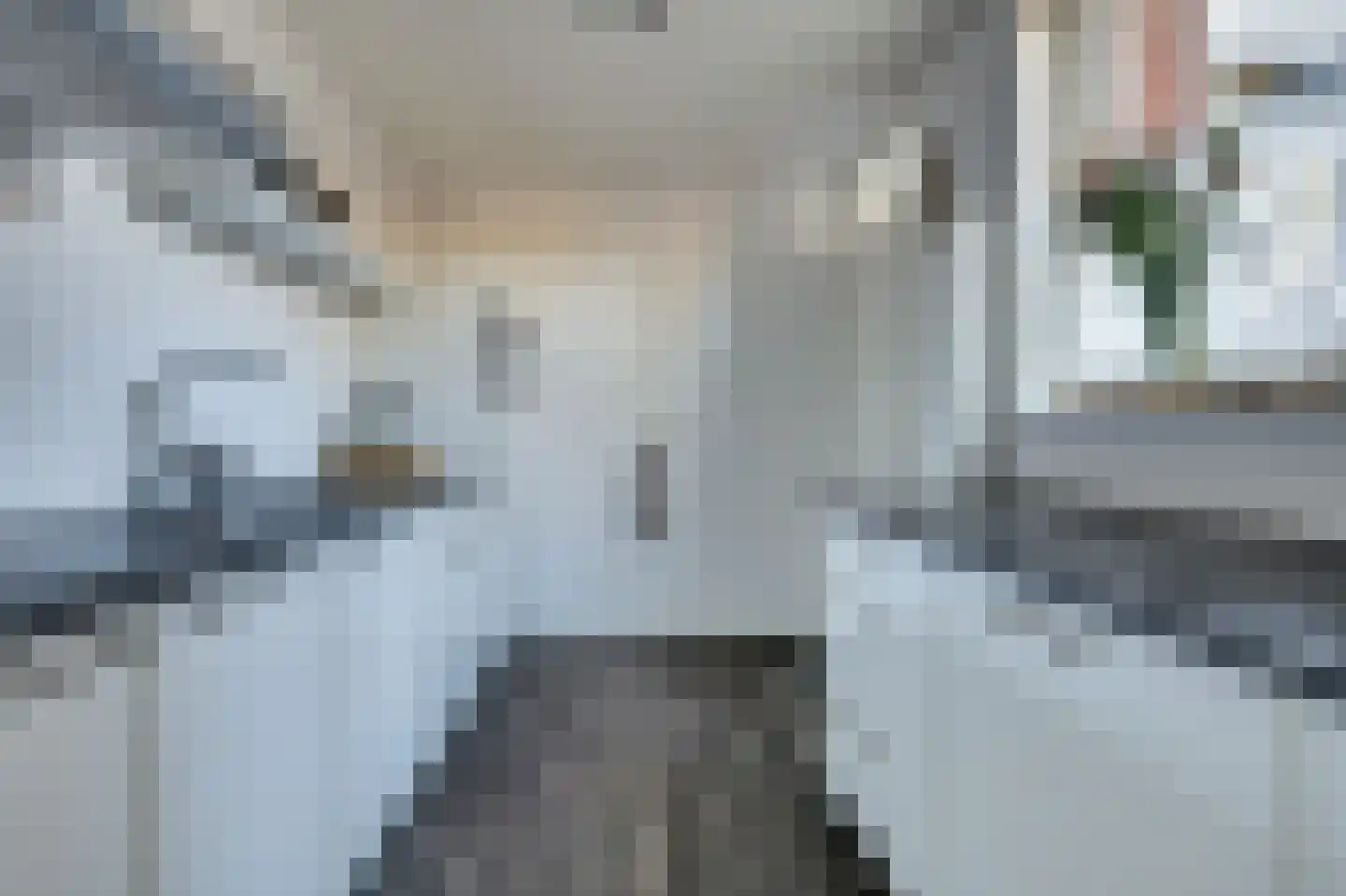 Twentehof 6 Helmond thumbnail 13