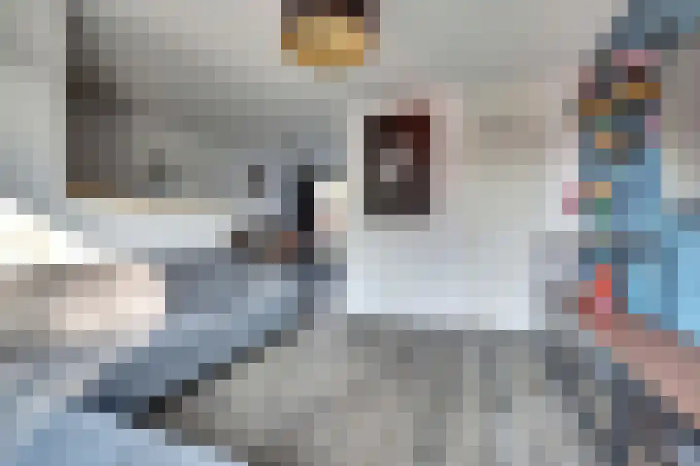 Twentehof 6 Helmond thumbnail 7