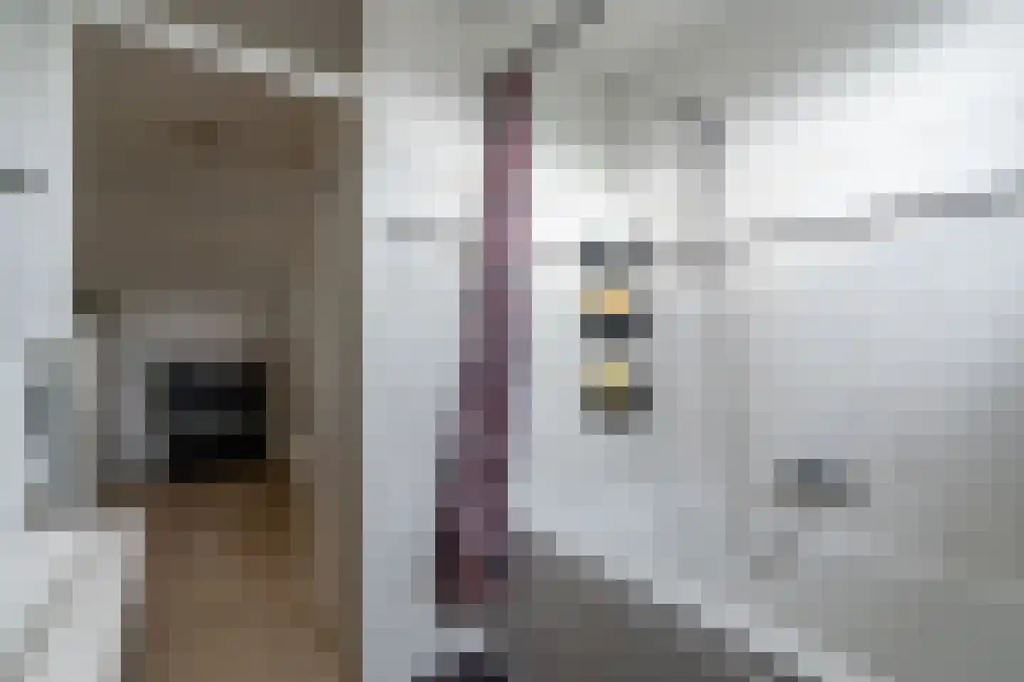 Twentehof 86 Helmond thumbnail 35