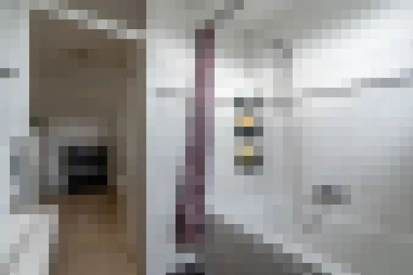 Twentehof 86 Helmond thumbnail 35