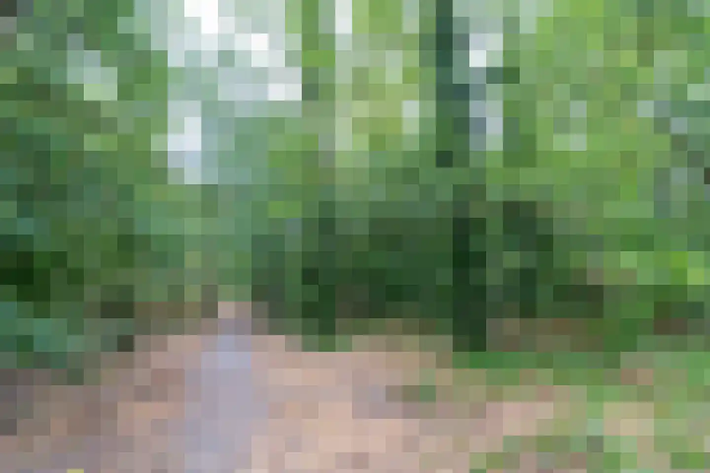Twentehof 86 Helmond thumbnail 52