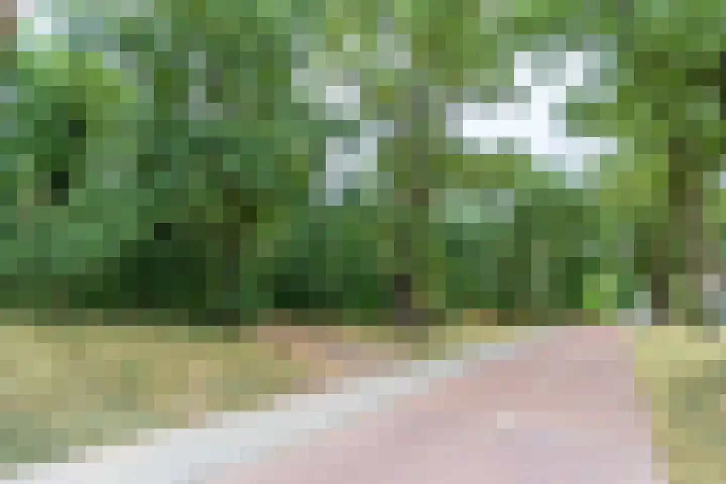 Twentehof 86 Helmond thumbnail 53