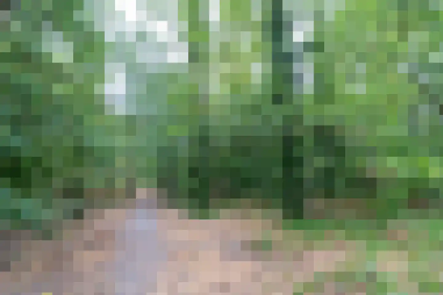 Twentehof 86 Helmond thumbnail 54