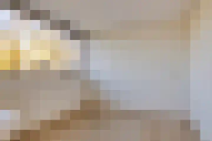 Twentelaan 4 Heerenveen thumbnail 15