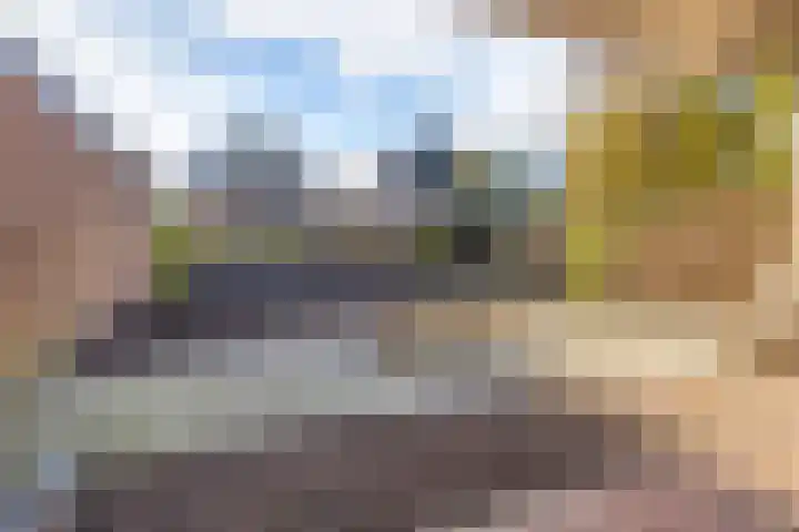 Twentelaan 4 Heerenveen thumbnail 20